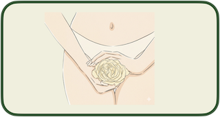 GINECOLOGÍA REGENERATIVA Image